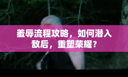 羞辱流程攻略，如何潛入敵后，重塑榮耀？