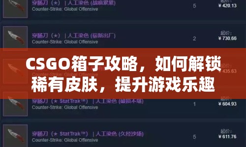 CSGO箱子攻略，如何解鎖稀有皮膚，提升游戲樂趣？