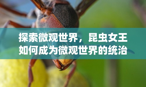 探索微觀世界，昆蟲女王如何成為微觀世界的統(tǒng)治者？