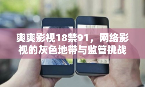 爽爽影視18禁91，網(wǎng)絡(luò)影視的灰色地帶與監(jiān)管挑戰(zhàn)