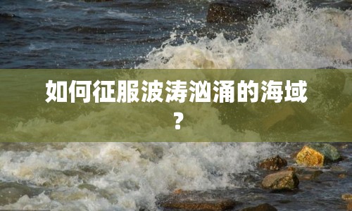 如何征服波濤洶涌的海域？
