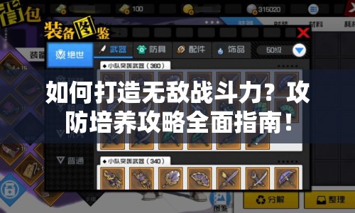 如何打造無敵戰(zhàn)斗力？攻防培養(yǎng)攻略全面指南！