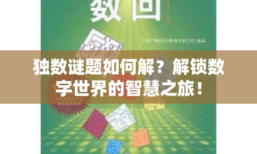 獨(dú)數(shù)謎題如何解？解鎖數(shù)字世界的智慧之旅！