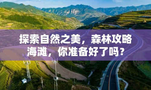 探索自然之美，森林攻略海灘，你準(zhǔn)備好了嗎？