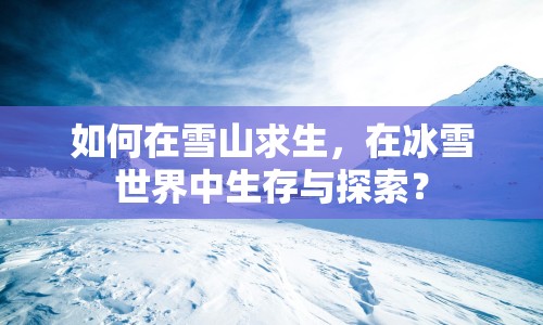 如何在雪山求生，在冰雪世界中生存與探索？