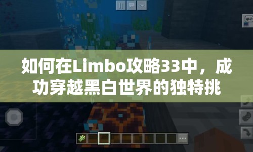 如何在Limbo攻略33中，成功穿越黑白世界的獨(dú)特挑戰(zhàn)？