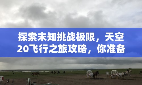 探索未知挑戰(zhàn)極限，天空20飛行之旅攻略，你準(zhǔn)備好了嗎？