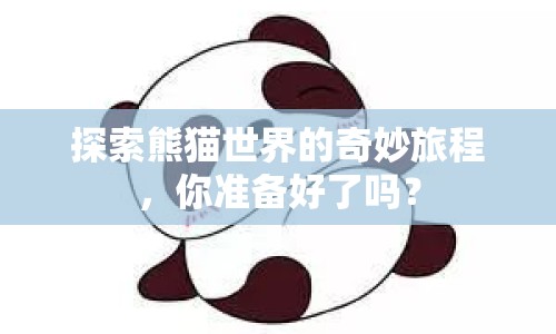 探索熊貓世界的奇妙旅程，你準備好了嗎？