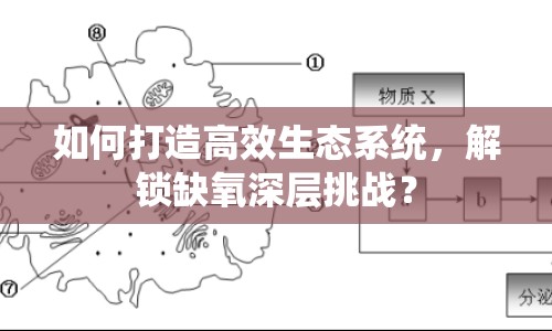 如何打造高效生態(tài)系統(tǒng)，解鎖缺氧深層挑戰(zhàn)？