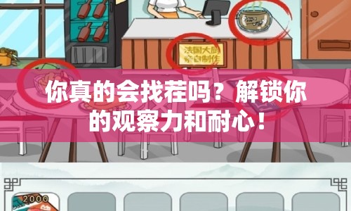 你真的會找茬嗎？解鎖你的觀察力和耐心！