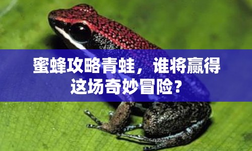 蜜蜂攻略青蛙，誰(shuí)將贏得這場(chǎng)奇妙冒險(xiǎn)？