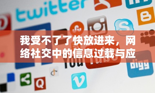 我受不了了快放進(jìn)來(lái)，網(wǎng)絡(luò)社交中的信息過(guò)載與應(yīng)對(duì)策略