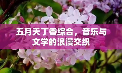 五月天丁香綜合，音樂與文學(xué)的浪漫交織