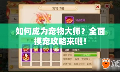 如何成為寵物大師？全面摸寵攻略來啦！