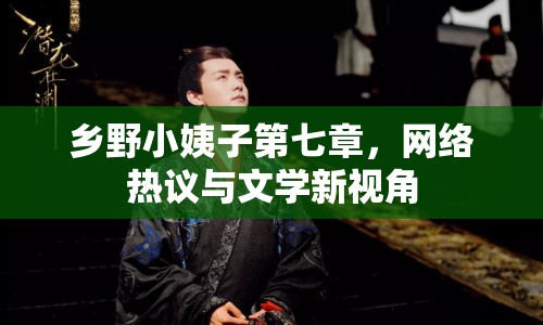 鄉(xiāng)野小姨子第七章，網(wǎng)絡(luò)熱議與文學(xué)新視角