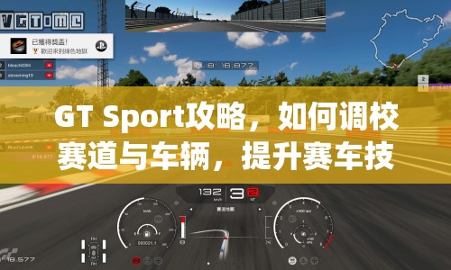 GT Sport攻略，如何調(diào)校賽道與車輛，提升賽車技巧？