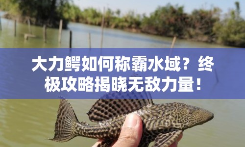 大力鱷如何稱(chēng)霸水域？終極攻略揭曉無(wú)敵力量！