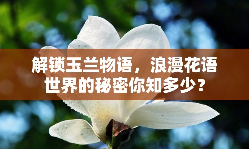 解鎖玉蘭物語(yǔ)，浪漫花語(yǔ)世界的秘密你知多少？