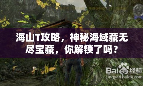 海山T攻略，神秘海域藏無盡寶藏，你解鎖了嗎？