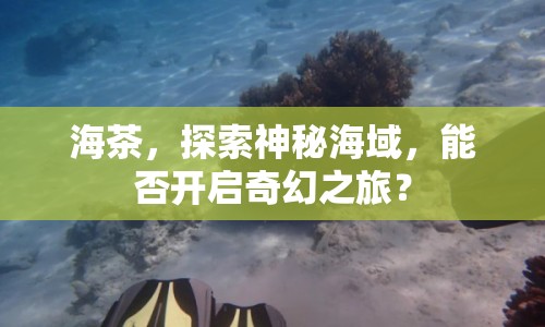海茶，探索神秘海域，能否開啟奇幻之旅？