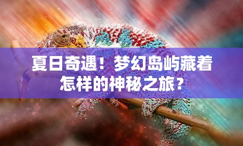 夏日奇遇！夢幻島嶼藏著怎樣的神秘之旅？