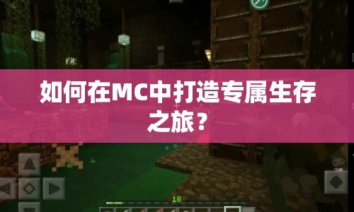 如何在MC中打造專屬生存之旅？
