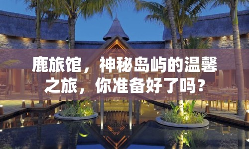 鹿旅館，神秘島嶼的溫馨之旅，你準(zhǔn)備好了嗎？