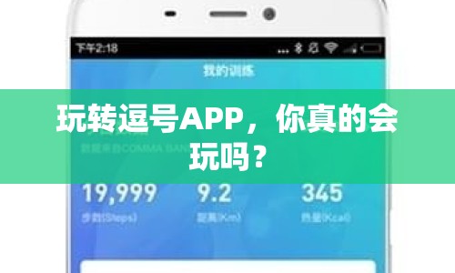 玩轉(zhuǎn)逗號(hào)APP，你真的會(huì)玩嗎？