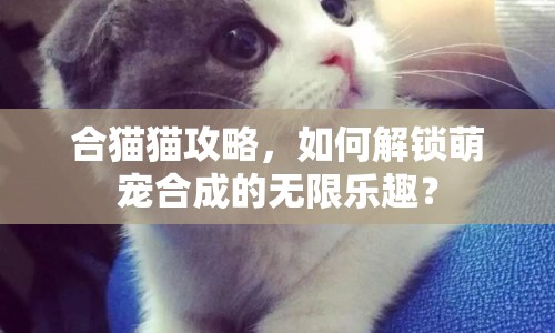 合貓貓攻略，如何解鎖萌寵合成的無限樂趣？