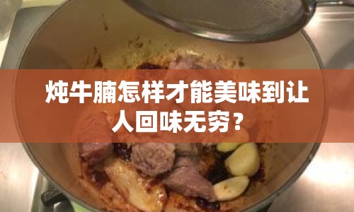燉牛腩怎樣才能美味到讓人回味無窮？
