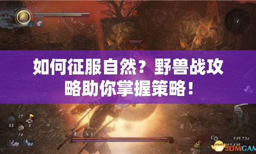 如何征服自然？野獸戰(zhàn)攻略助你掌握策略！