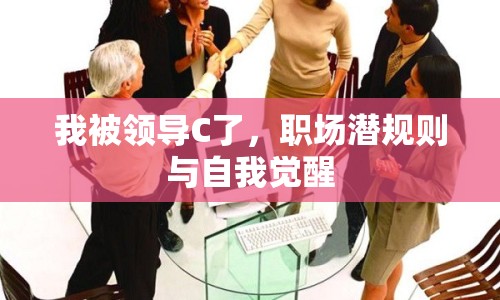 我被領(lǐng)導(dǎo)C了，職場(chǎng)潛規(guī)則與自我覺(jué)醒