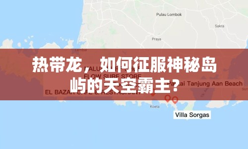 熱帶龍，如何征服神秘島嶼的天空霸主？