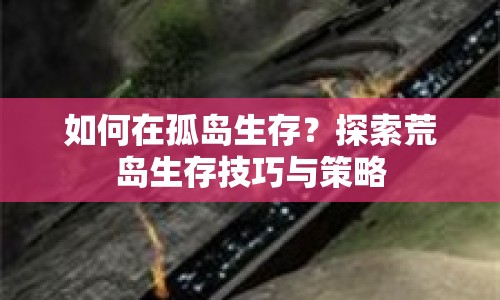 如何在孤島生存？探索荒島生存技巧與策略