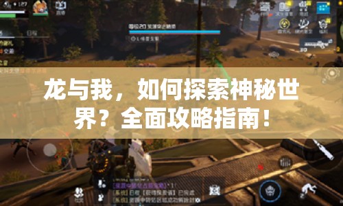 龍與我，如何探索神秘世界？全面攻略指南！