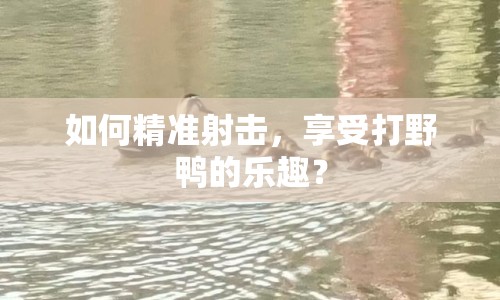 如何精準(zhǔn)射擊，享受打野鴨的樂(lè)趣？