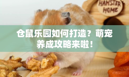倉鼠樂園如何打造？萌寵養(yǎng)成攻略來啦！