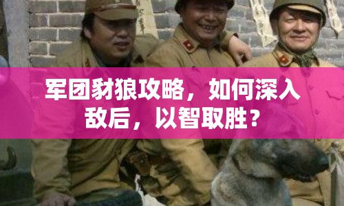 軍團(tuán)豺狼攻略，如何深入敵后，以智取勝？