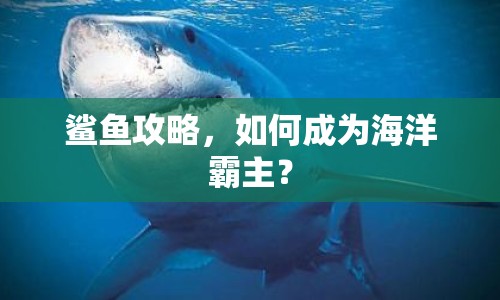 鯊魚攻略，如何成為海洋霸主？