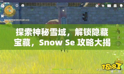 探索神秘雪域，解鎖隱藏寶藏，Snow Se 攻略大揭秘！