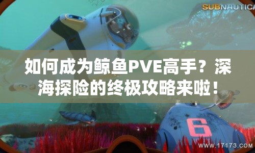 如何成為鯨魚PVE高手？深海探險(xiǎn)的終極攻略來啦！