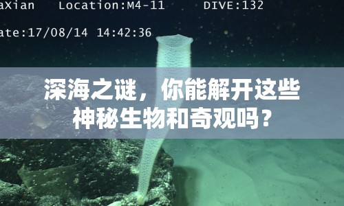 深海之謎，你能解開這些神秘生物和奇觀嗎？
