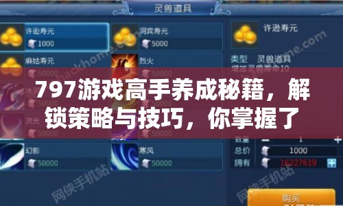797游戲高手養(yǎng)成秘籍，解鎖策略與技巧，你掌握了嗎？