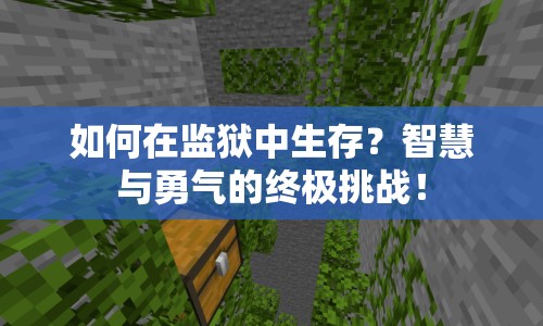 如何在監(jiān)獄中生存？智慧與勇氣的終極挑戰(zhàn)！