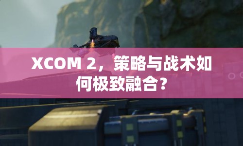 XCOM 2，策略與戰(zhàn)術(shù)如何極致融合？
