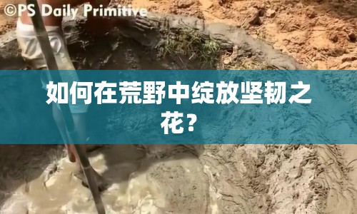 如何在荒野中綻放堅(jiān)韌之花？