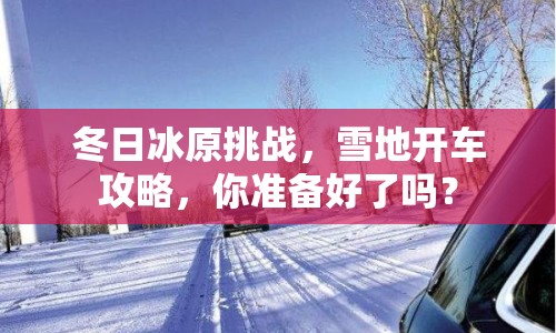 冬日冰原挑戰(zhàn)，雪地開(kāi)車攻略，你準(zhǔn)備好了嗎？