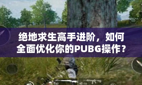 絕地求生高手進(jìn)階，如何全面優(yōu)化你的PUBG操作？