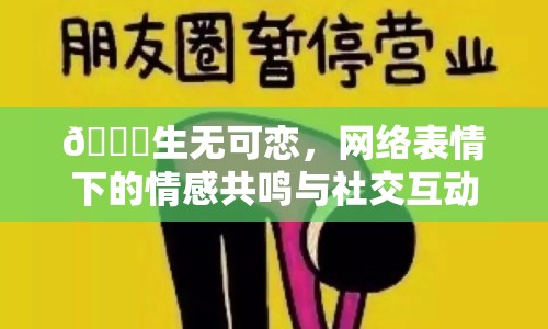 ?生無可戀，網(wǎng)絡(luò)表情下的情感共鳴與社交互動(dòng)