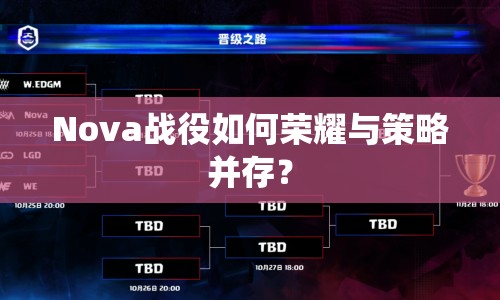 Nova戰(zhàn)役如何榮耀與策略并存？